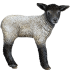 lamb-farm-animals-wall-decal-sticker_c6eeb6c6-8cc0-4ef3-8eb8-bc6bad028eaf_large